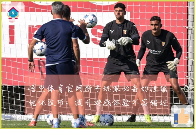 悟空体育官网新手玩家必备的性能优化技巧，提升游戏体验不容错过！