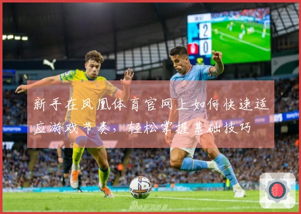 新手在凤凰体育官网上如何快速适应游戏节奏，轻松掌握基础技巧
