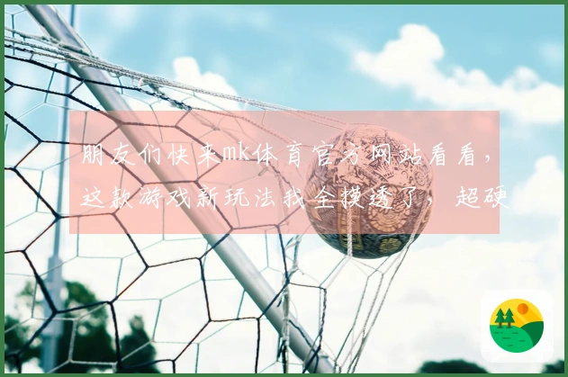 朋友们快来mk体育官方网站看看,这款游戏新玩法我全摸透了,超硬核评测来啦!